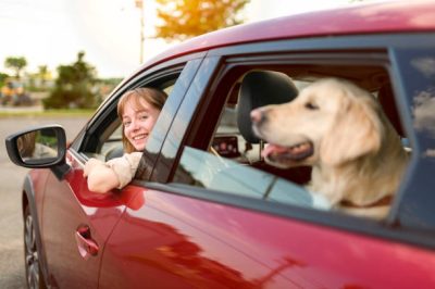 A Happy teen girl driving a new car on sunset with golden retreiver on back seat